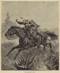 Morte e funerale del Principe Imperiale, i messaggeri della morte